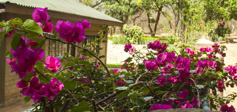 Hotel Woodlands Lilongwe Exteriér fotografie